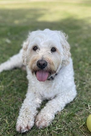 Winnie